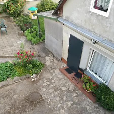 Pas Emilija