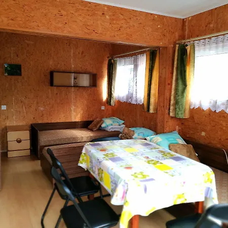 Pas Emilija Palanga
